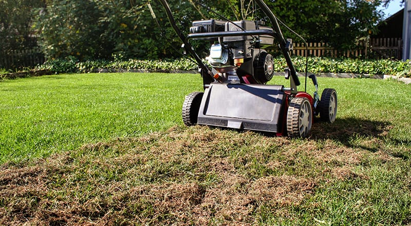 Bien scarifier en 4 étapes - Blog gazon