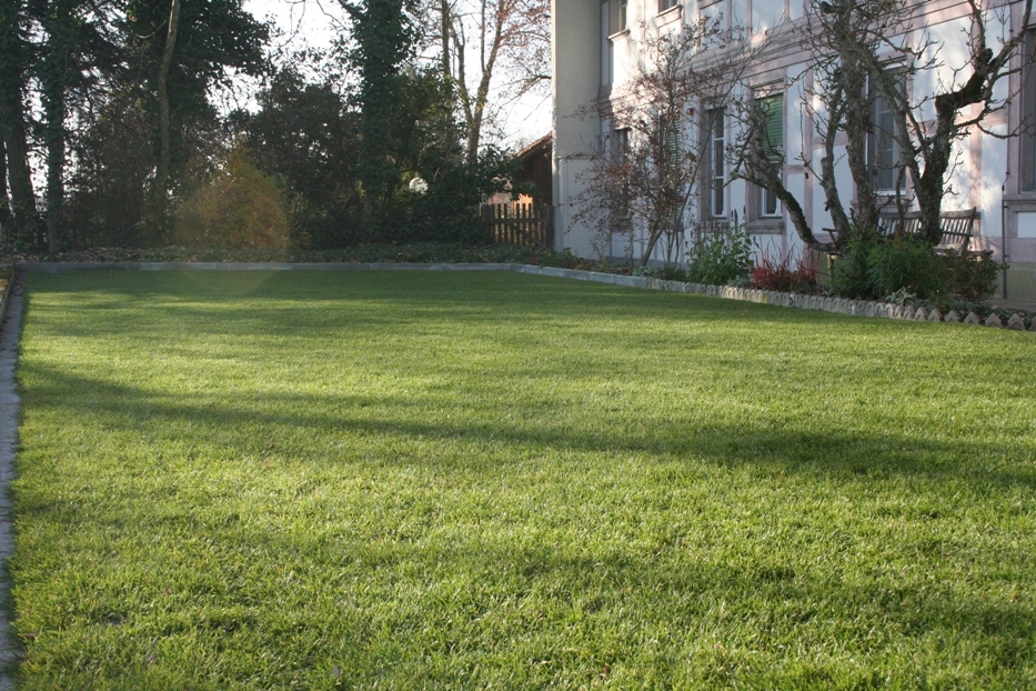 Transformez Votre Jardin en un Eden Verdoyant avec le Rouleau de Gazon