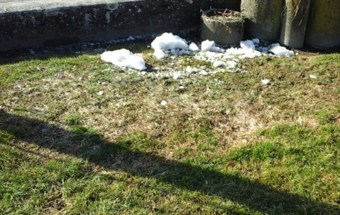 Dégâts visibles sur le gazon en raison de la charge de neige