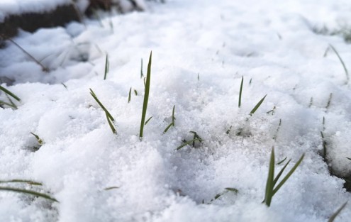 Der Winter hält Einzug