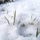 Der Winter hält Einzug