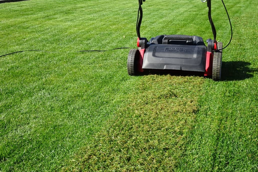 Dernière chance pour scarifier la pelouse - Blog gazon